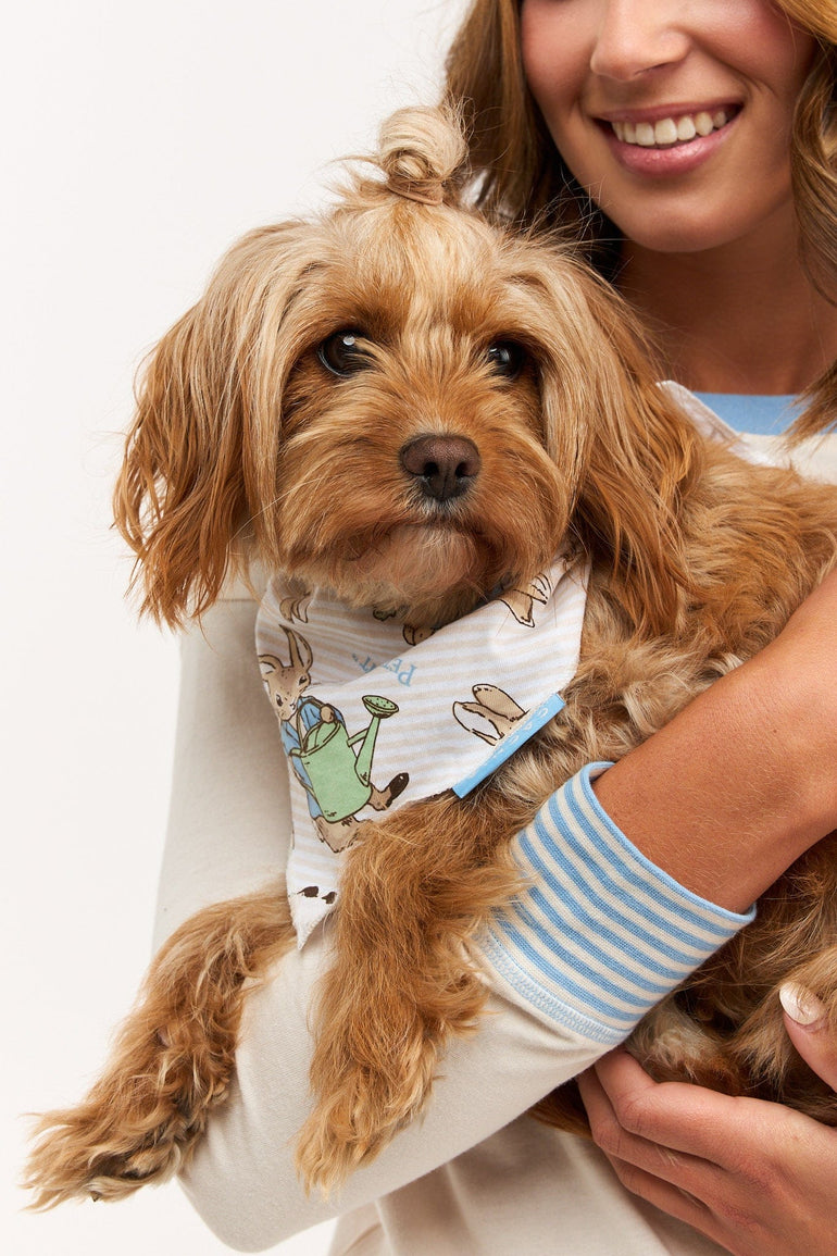 Pets – CACHIA SHOP