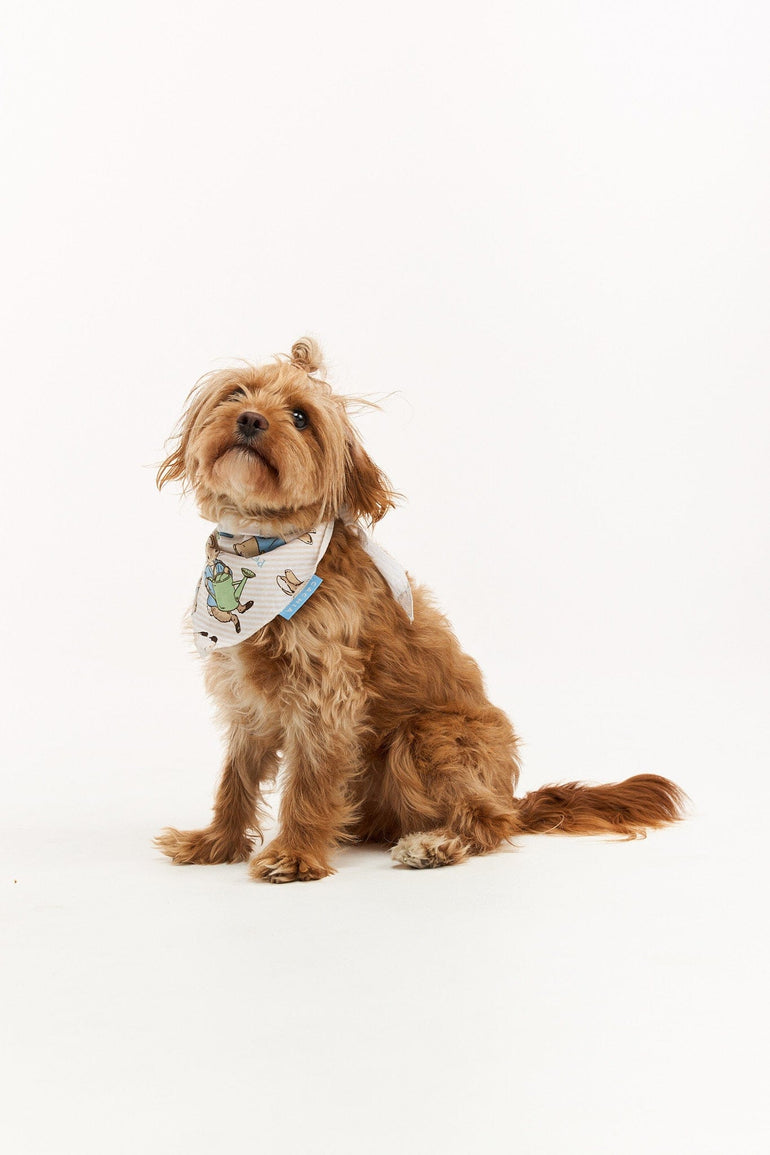 Pets – CACHIA SHOP