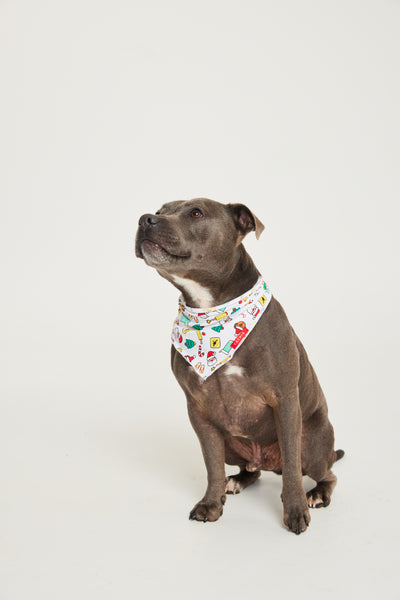 Aussie Down Under Pet Bandana