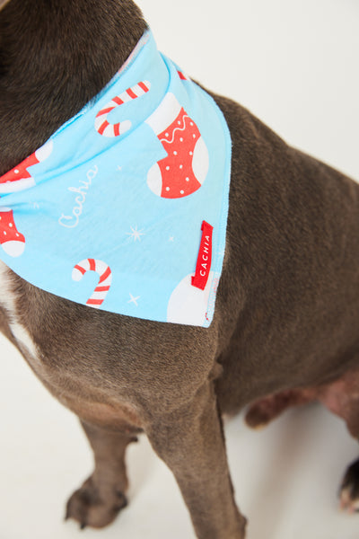 Jolly Blue Pet Bandana