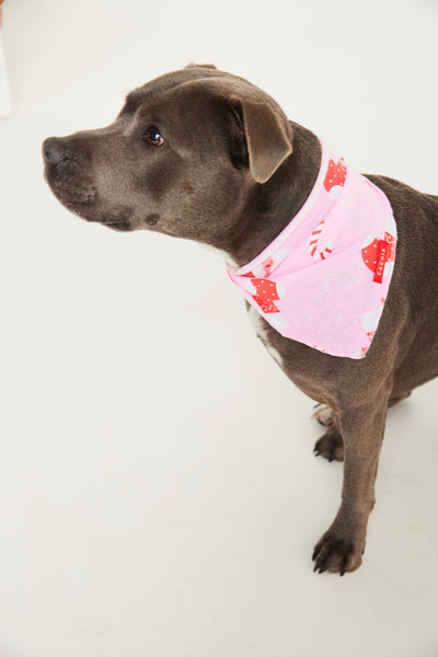 Jolly Pink Pet Bandana