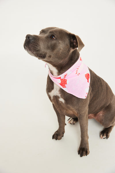 Jolly Pink Pet Bandana