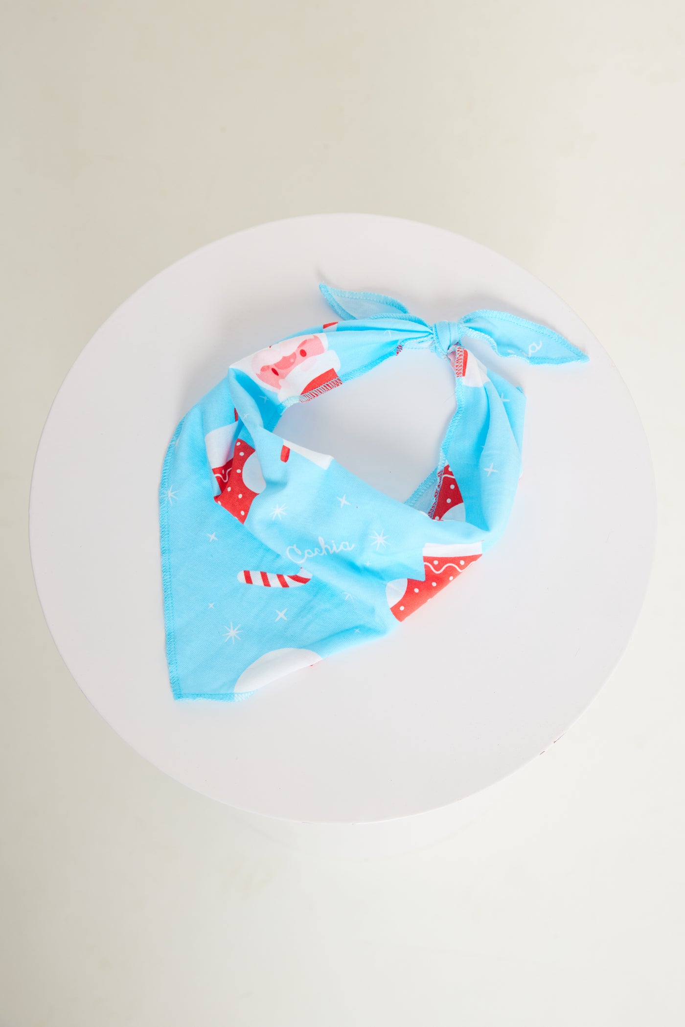 Jolly Blue Pet Bandana