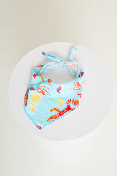 Shrimp on the Barbie Mint Pet Bandana