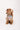 Small dog wearing Sesame Street™ comic print bandana